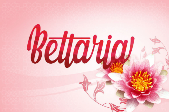 Bettaria: A Designer’s Honest Take on Script Amp’s Latest