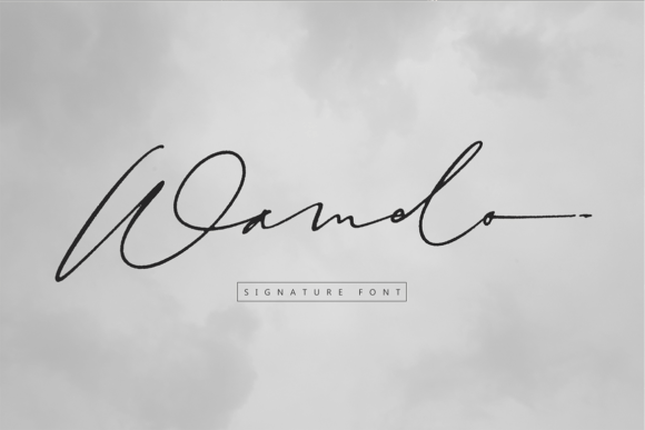 Wamelo: A Designer’s Honest Review of This Script Font